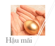 Hậu mãi